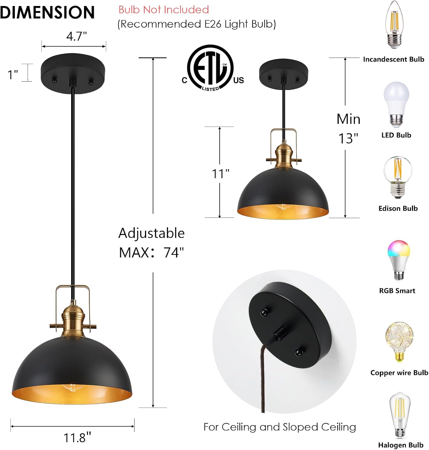 Lámpara colgante estilo granja 12pulg negro mate ajustable
