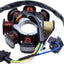 Bobina encendido estator 8 polos GY6 125cc 150cc motor