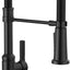 Grifo cocina comercial Rhett Pro Style 18829-DST negro mate