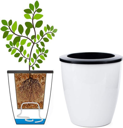 2 Macetas Riego Automático 3.5pulg Blancas para Plantas