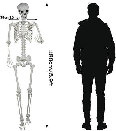 Esqueleto realista Halloween 5.9pulg huesos plástico articulaciones