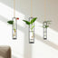 Soporte colgante terrario vidrio bohemio