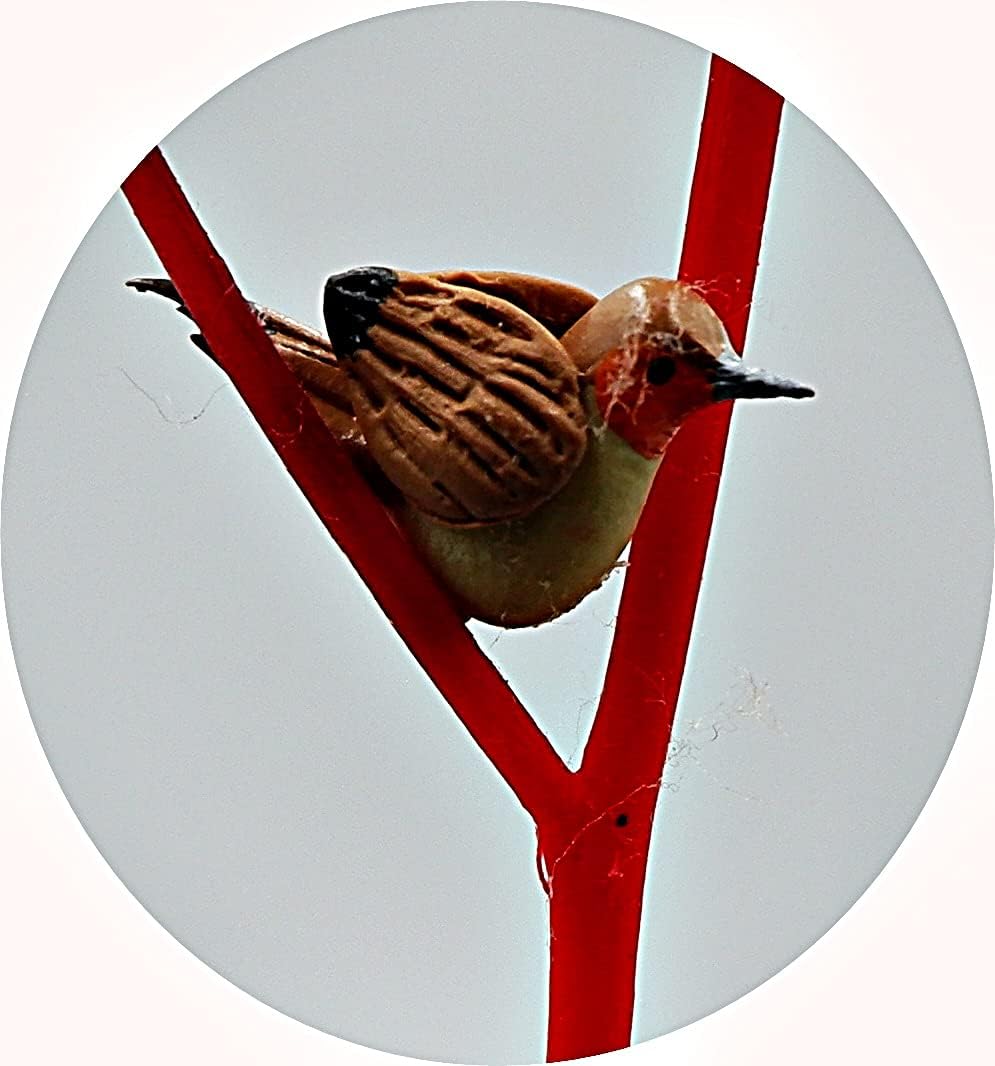 Set 12 figuras pájaro Robin marrón decoración jardín