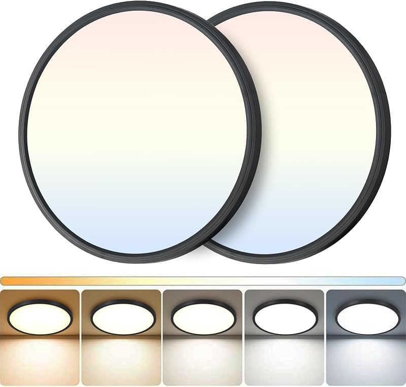 2 Luces LED Techo 12" Regulable 5CCT Negro