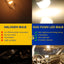 Bombilla LED automóvil 12-24V sin polaridad luz interior