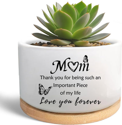 Maceta para suculentas y cactus regalo para mamá