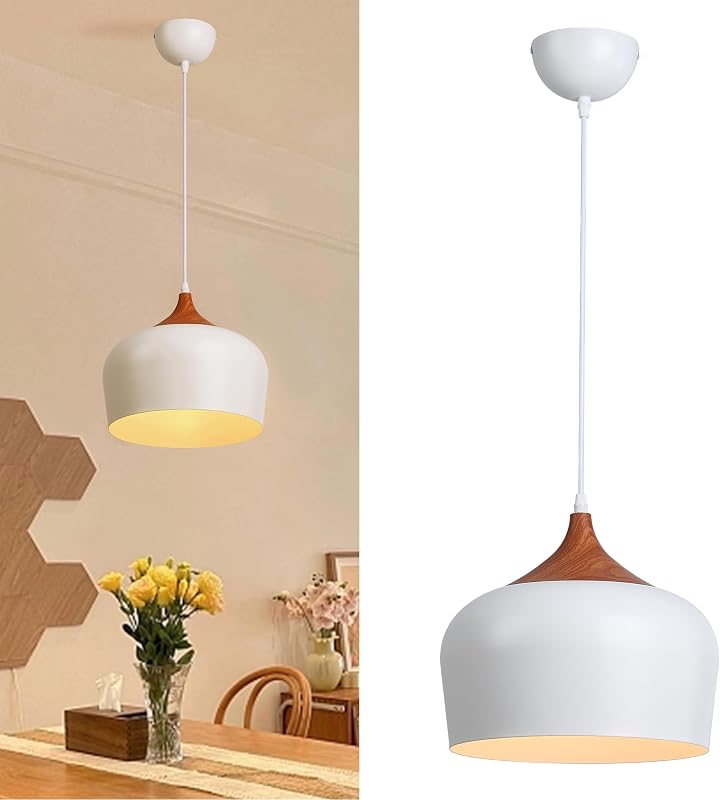 Lámpara colgante moderna techo cúpula minimalista madera