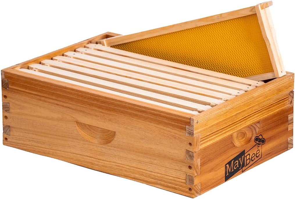 Caja colmena Langstroth 8 marcos Medium Super sin montar