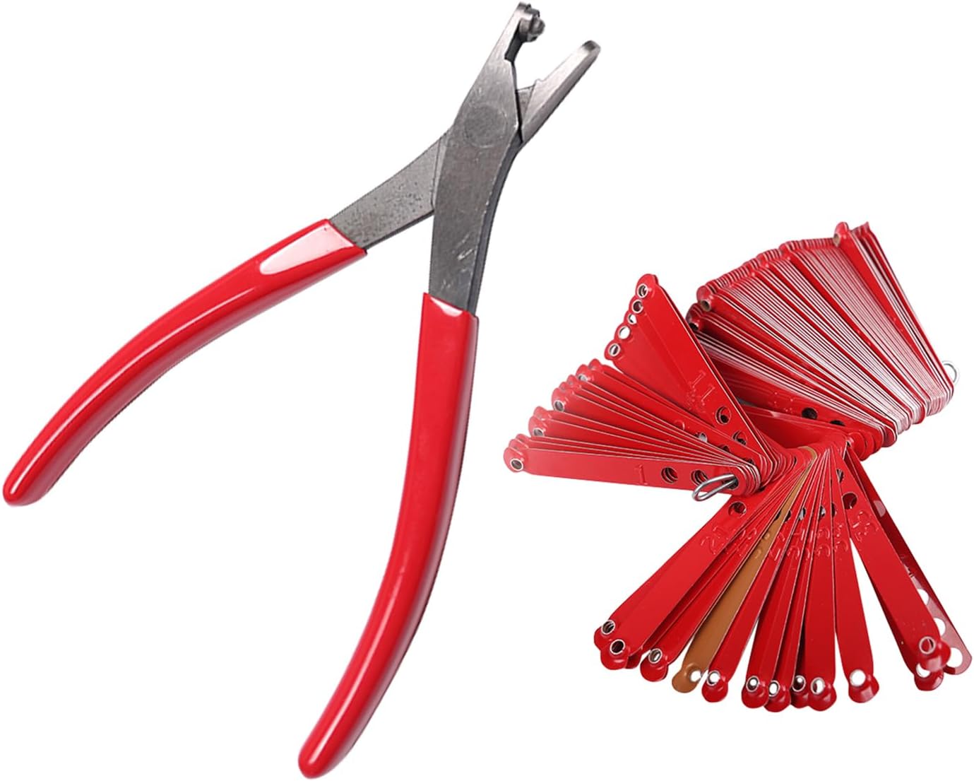 Alicates bandas pierna aves ajustable 3 velocidades