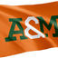 Bandera FAMU Rattlers 3x5ft 100% poliéster