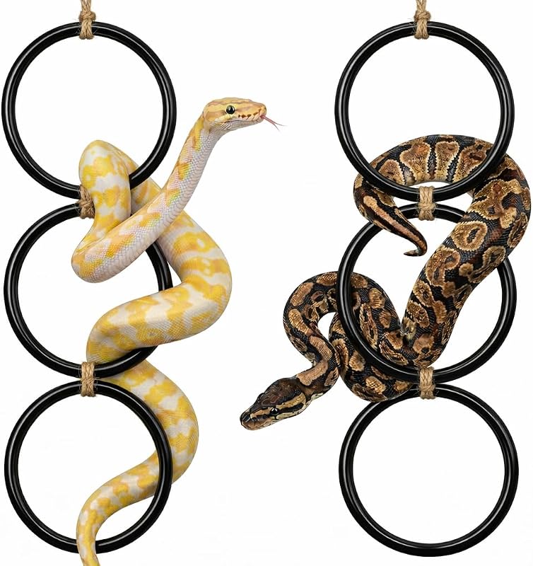 2 Anillos Escalada Serpiente Jaula Terrario