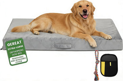 Cama ortopédica perros grandes 44x30pulg espuma 28D