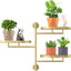Soporte giratorio para plantas ventana metal dorado