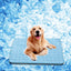 Tapete refrescante para mascotas transpirable lavable