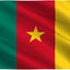 Bandera Camerún 3x5ft lona doble costura ojales latón
