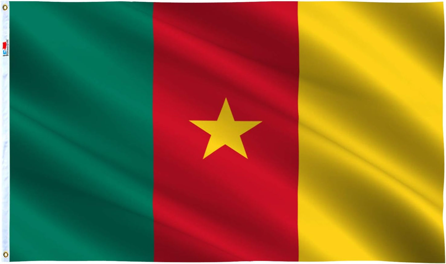 Bandera Camerún 3x5ft lona doble costura ojales latón