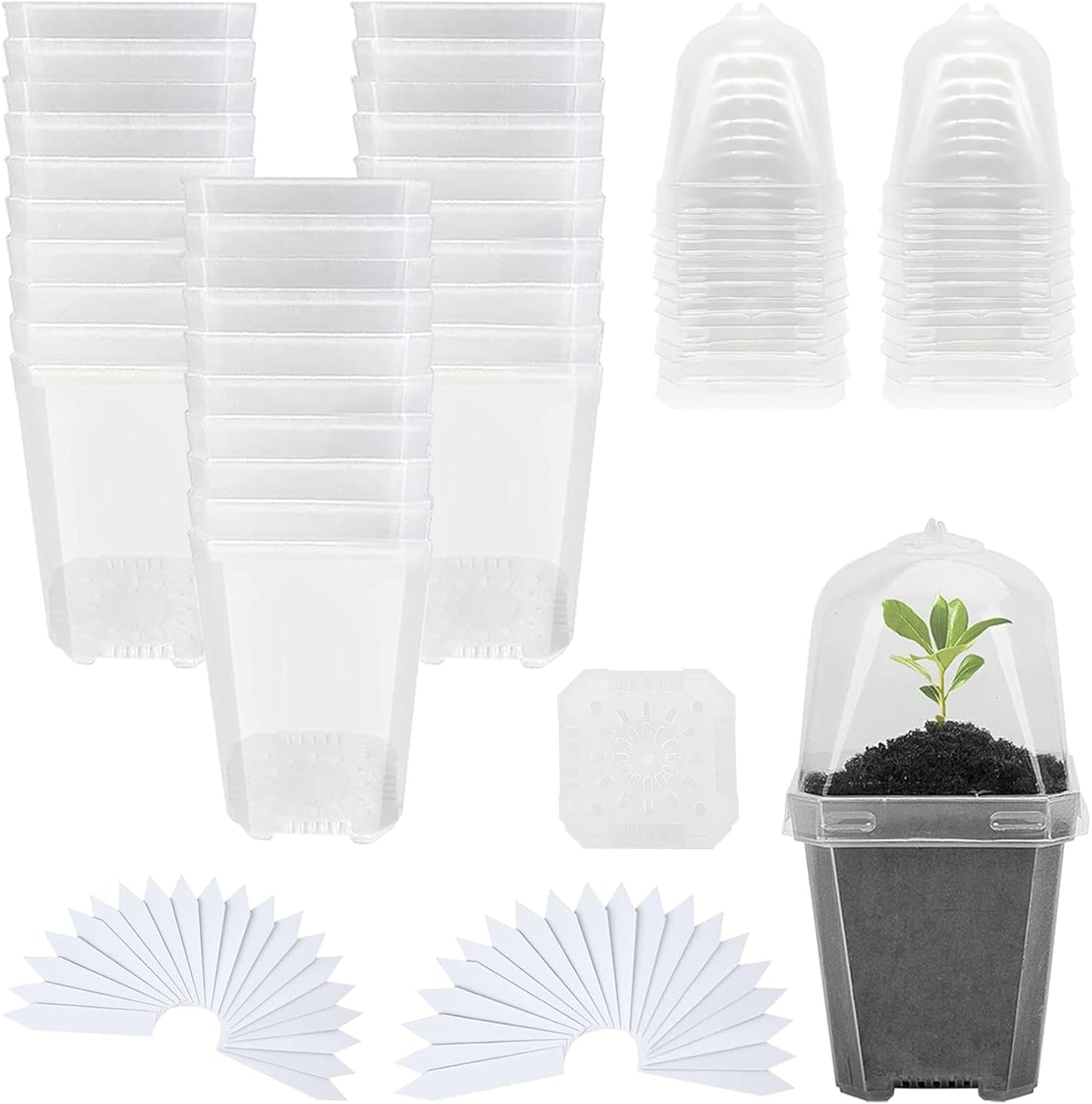 Set 30 Macetas Plástico 3pulg Con Cúpulas Agujeros Drenaje