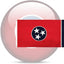 Bandera Tennessee 4x6ft estrella bordada nailon 210D