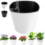6 Pzas Maceta 7" Riego Automático Interior Exterior Blanco