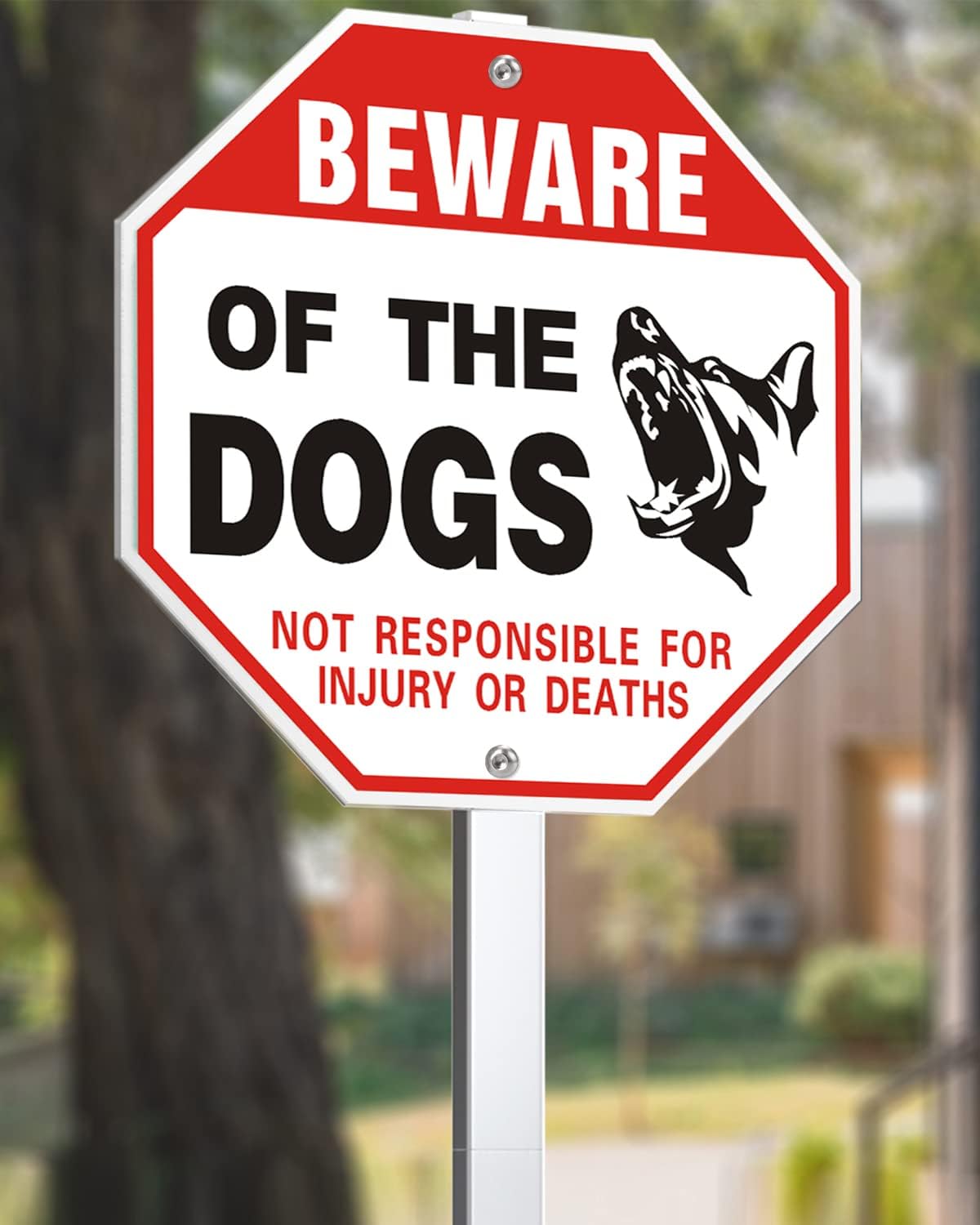 Letrero aluminio 10x10" Beware of Dog 28" UV resistente