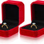 Caja terciopelo 2 Pzas anillo pendientes regalo rojo vino