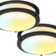 Lámpara techo LED doble anillo 10" regulable 2700K-5000K