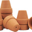 Macetas terracota 1.5pulg drenaje interiores exteriores set 10