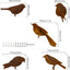 Silueta pájaro oxidado decoración jardín rústico