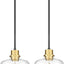 2 Pack Luces Colgantes Vidrio Transparente 20cm Estilo