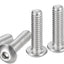 Set 100 Tornillos Botón Acero Inox 304 18/8