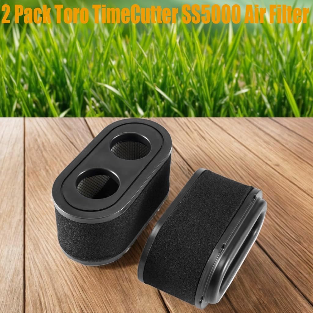 Filtro aire TimeCutter ss5000