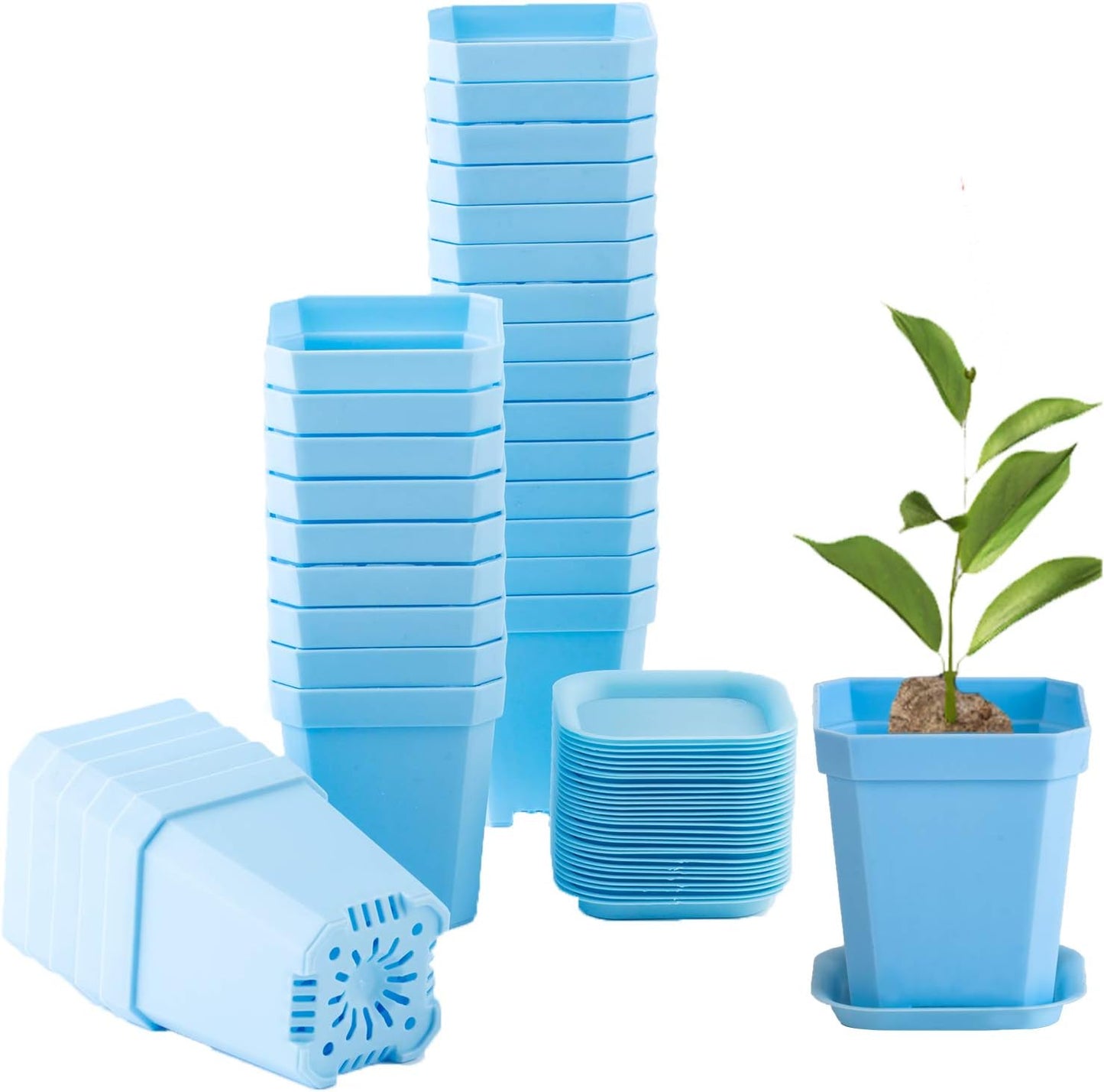 30 Macetas Plástico Grueso 3pulg Cuadradas Azul