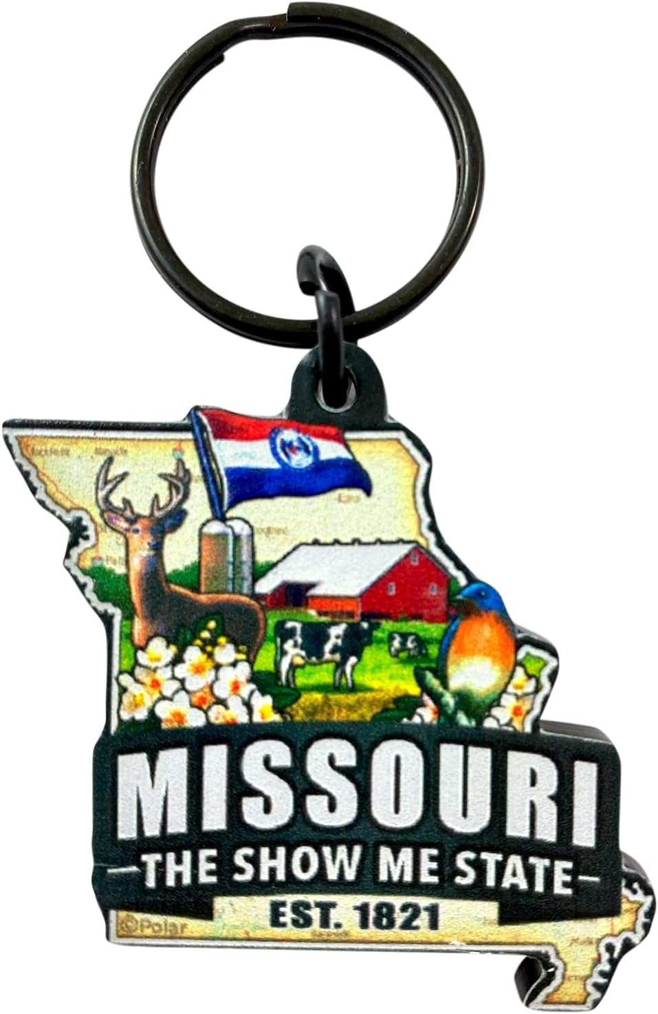 Llavero Missouri mapa estado bandera acrílico color múltiple
