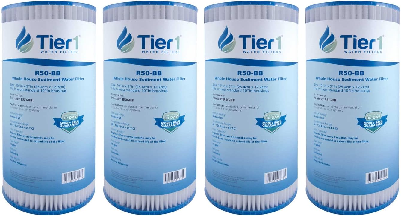 Filtro agua 50micras 10x4.5pulg para Pentek R50-BB