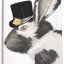 Toalla algodón para platos Street Bunny