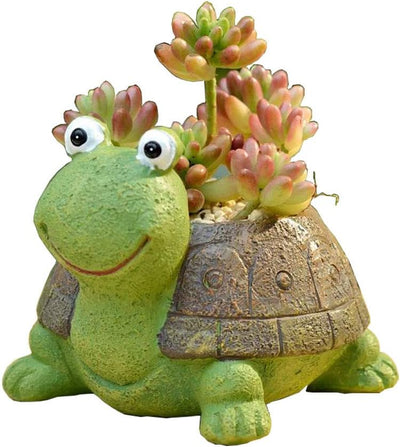 Maceta suculenta tortuga verde decoración hogar oficina