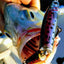 Señuelo Wake Minnow articulado para pesca V-Wake