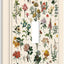 Placa flor silvestre cubierta interruptor luz baño decoración