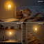 Luz Nocturna Led Enchufable 4 Pzas Sensor Anochecer 3 Brillo