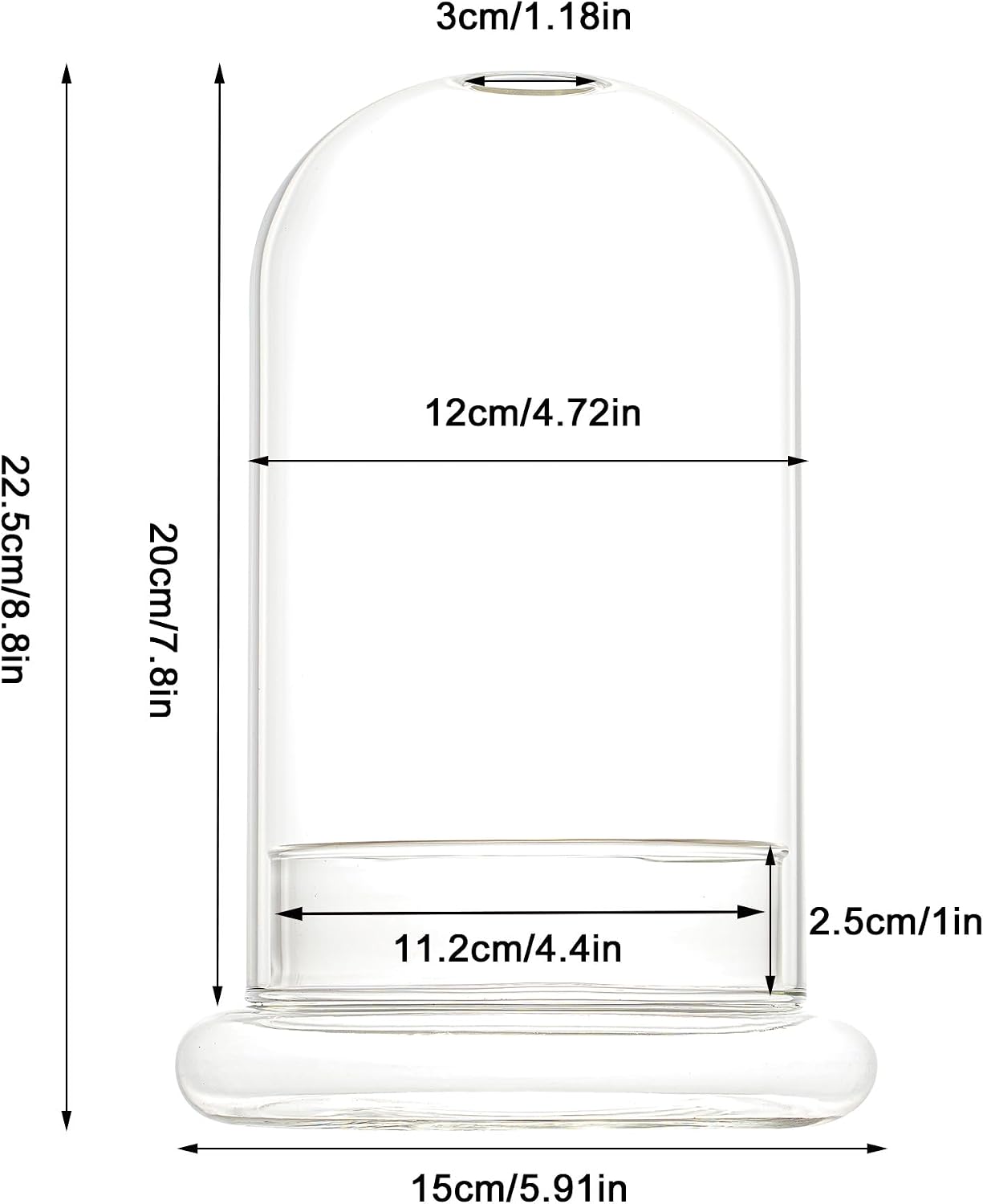 Terrario cúpula cristal base 7.9x4.7pulg plantas carnívoras