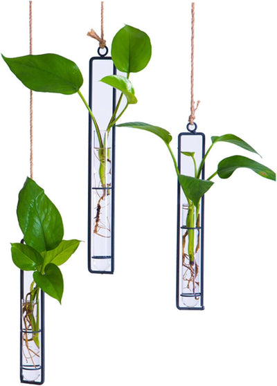 Maceta hidropónica vidrio 3 Pzas florero decoración moderna