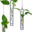 Maceta hidropónica vidrio 3 Pzas florero decoración moderna