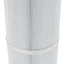 Filtro spa PRB50-IN para Filbur Pleatco Guardian