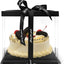 4 Cajas Transparentes 10x10" con Tapa y Cinta para Regalo