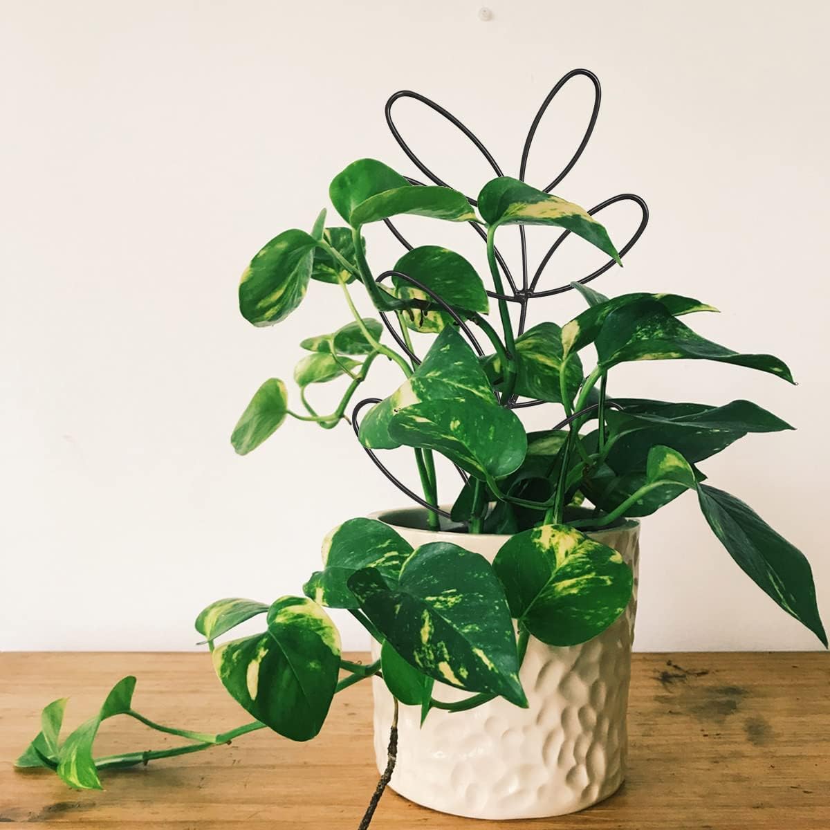 Enrejado metal para plantas forma hoja 2pzas negruzco