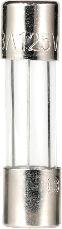 20 Fusibles Vidrio 110-125V 8A Retardo Soplado Lento