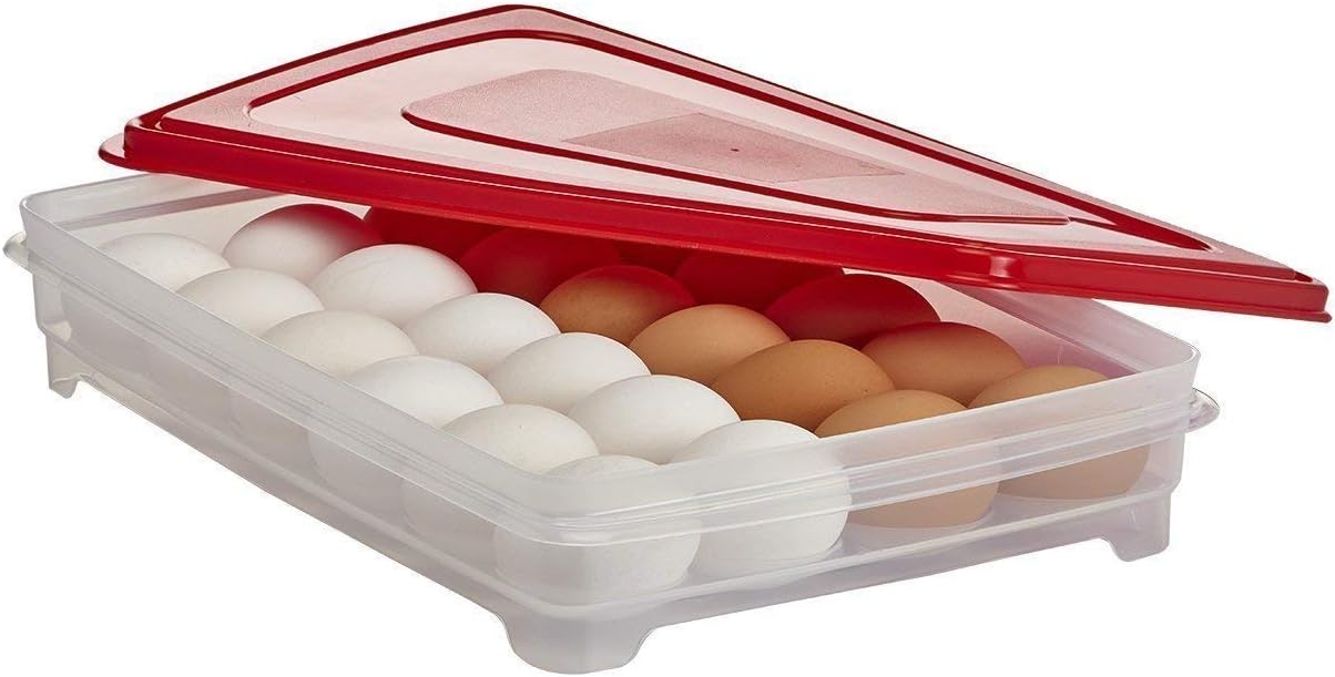 Bandeja guardahuevos y contenedor almacenamiento
