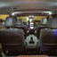 Kit luces LED blancas interiores Honda Odyssey 6000K
