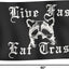 Bandera 3x5ft decoración hogar mapache panda