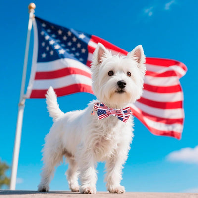 Collar perro bandera USA pajarita ajustable 4 de Julio